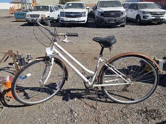 Schwin Wayfarer Beach Cruiser