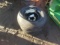 PR. 11Lx15 Wheels and Tires