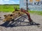 New Holland 258 Rake