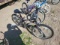 Alpine Eagle Magna Bicycle