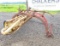 New Holland 256 Rake