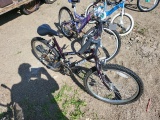 Alpine Eagle Magna Bicycle