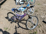 Tiara Bicycle