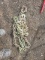 3/8 20ft. Chain