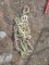 3/8 20ft. Chain