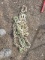 3/8 20ft. Chain
