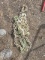 3/8 20ft. Chain