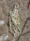 3/8 20ft. Chain