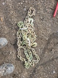 3/8 20ft. Chain