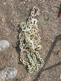 3/8 20ft. Chain