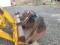 Cat Backhoe Bucket
