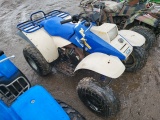 Plaris Trail Boss 4 wheeler
