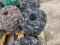 Roll Of Barb Wire
