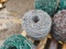 Roll Of Barb Wire