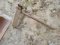 3pt. Bale Spear