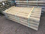 6x8 Treated Pine Fence Posts