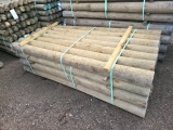 6x8 Treated Pine Fence Posts