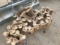 Skidsteer Tracks