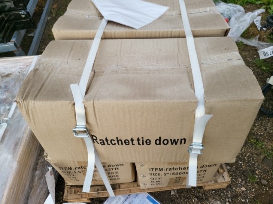 1/5" Ratchet Straps (16)
