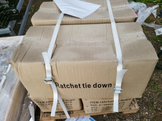2" Ratchet Straps (10)