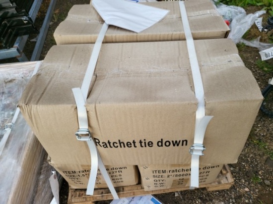 2" Ratchet Straps (10)