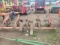 3pt. Field Cultivator