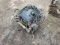 Triton Engine