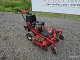 World Lawn Walk Behind Mower