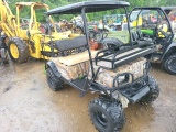 Bad Boy Electric Cart