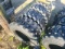 12x16.5 Tires/Unused