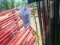 10x7 Fence Panels (20 PC)  (21) Posts