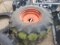 PR.16.9x26 Wheelsaand Tires