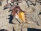 Backhoe Bucket