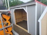 6x10 Run in Shed