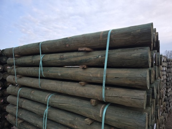 (28) 6x8 Treated Fence Posts