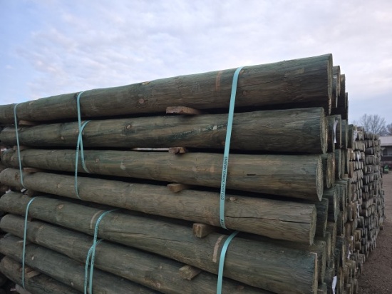 (28) 6x8 Treated Fence Posts