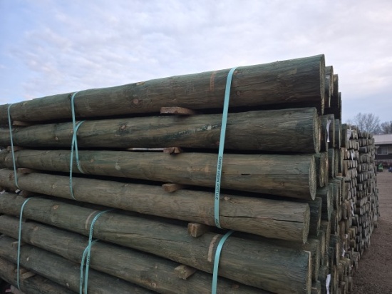 (28) 6x8 Treated Fence Posts