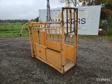 Cattle Chute w/Head Gate