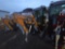 MIVA VA13C Mini Excavator w/Cab/Yellow