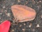 Pair of Farmall Fenders