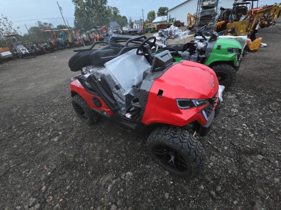TPM Electric Golf Cart/Unused
