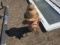 Fire Hydrant