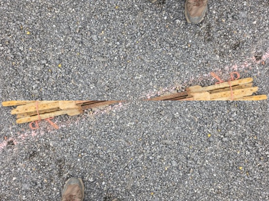 (5) Tee Posts for 1 Money