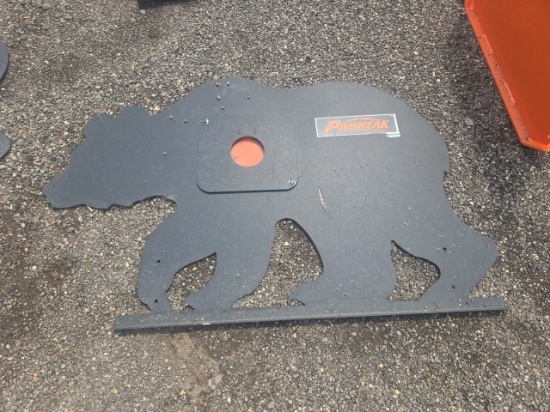 Bear Shooting Target