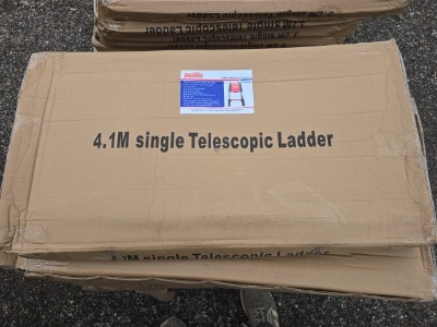 4.1 Single Telescopic Ladder