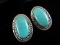 Turquoise Stone Sterling Silver Earrings