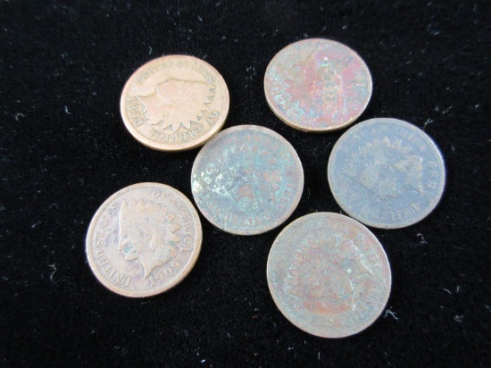 Indian head Penny Lot as Shown