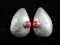 Vintage Coral Stone Sterling Silver Earrings