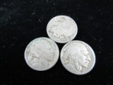 Buffalo Nickel Lot of Three 1916 & 20