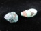Large Loose Turquoise Nugget Stone’s